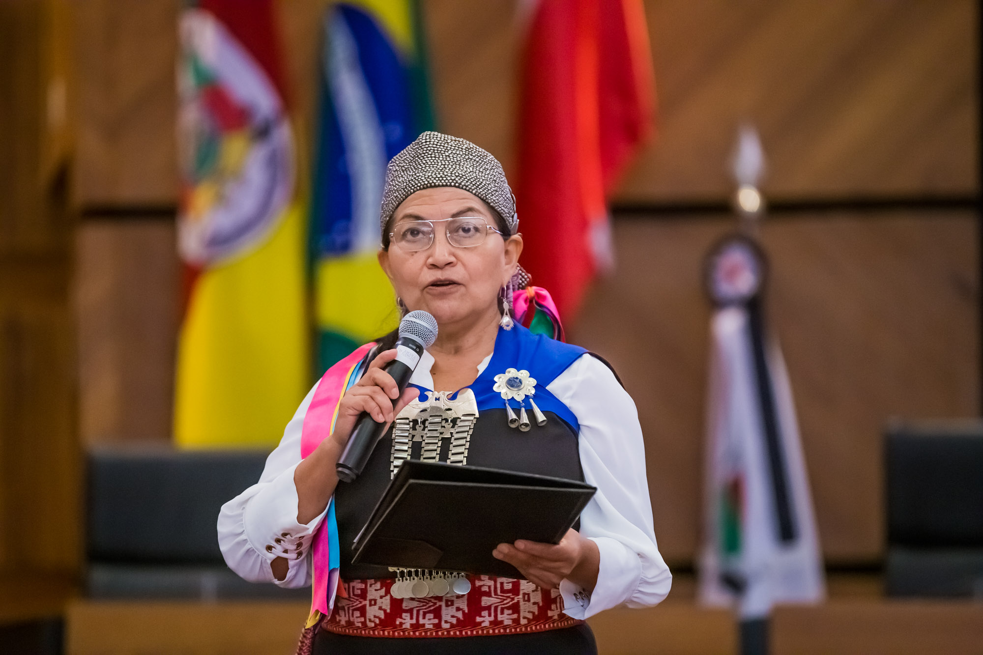 Professora Elisa Loncón ministrou a aula inaugural da EJud4.