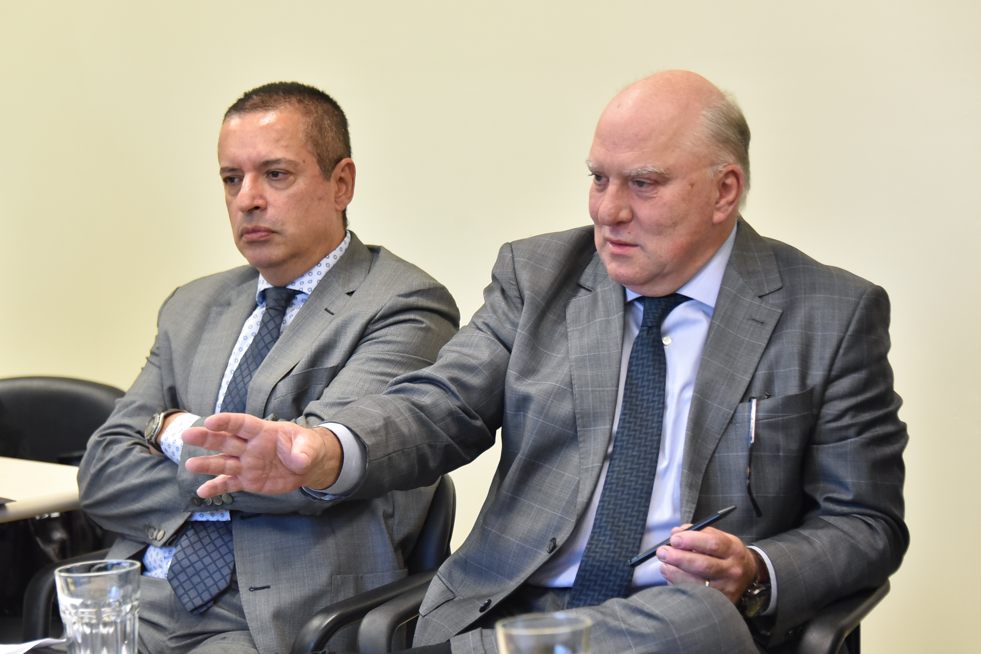 Marcelo Goulart e Ricardo Martins Costa