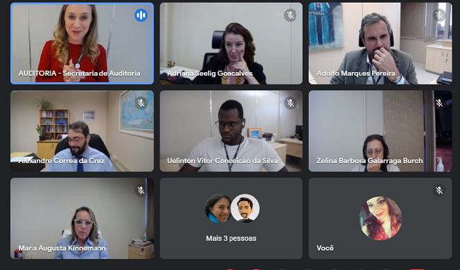 Print de tela mostra os participantes da reunião virtual de quarta-feira (7/6)