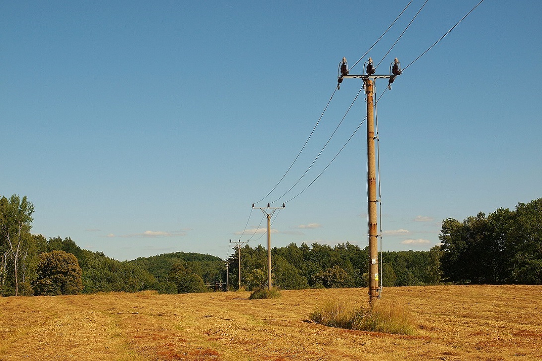 Postes de energia elétrica em área rural