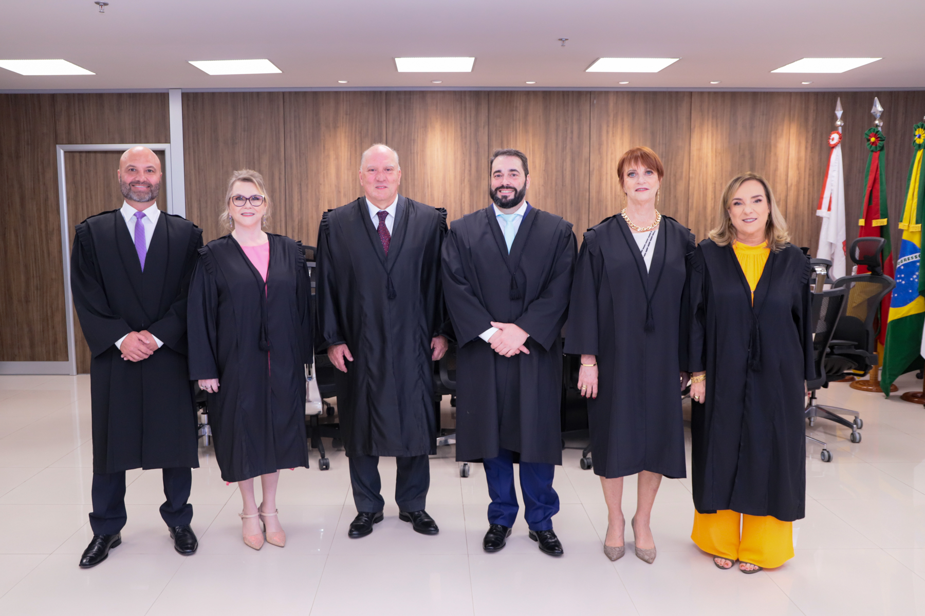 Fabiano Beserra, Laís Helena Nicotti, Ricardo Martins Costa, Alexandre Corrêa da Cruz, Maria Madalena Telesca e Maria Silvana Rotta Tedesco.