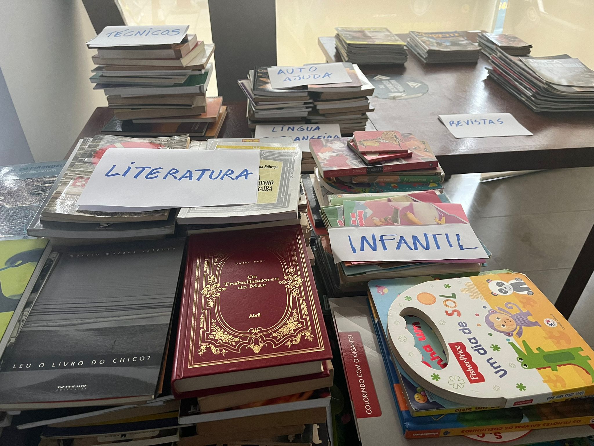 Fotos de livros doados, sobre uma mesa, separados por tipo