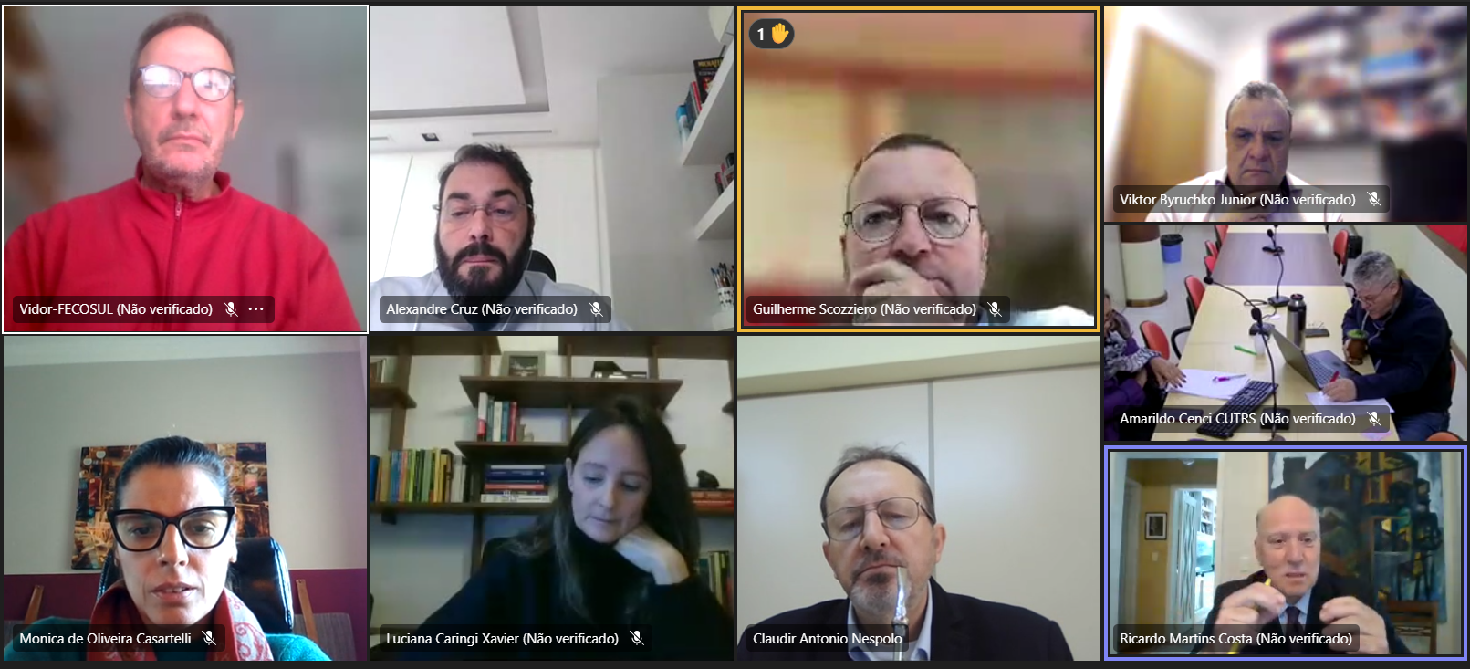 Print screen mostrando participantes da reunião on-line, em mosaico