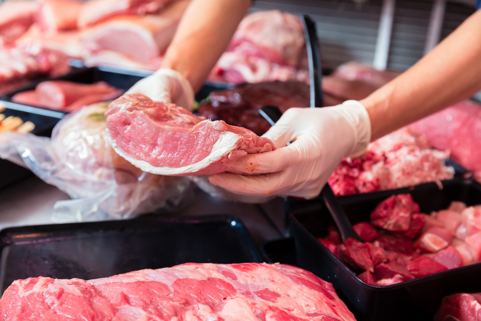 Mãos masculinas de luva seguram um pedaço de carne vermelha