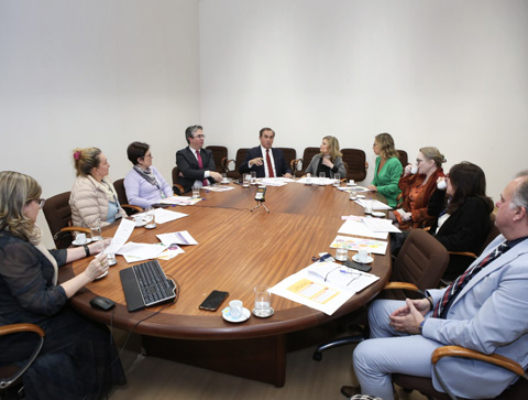 Primeira reunião aprovou plano e ações e eixos norteadores (Foto: Juliano Verardi - DICOM/TJRS)