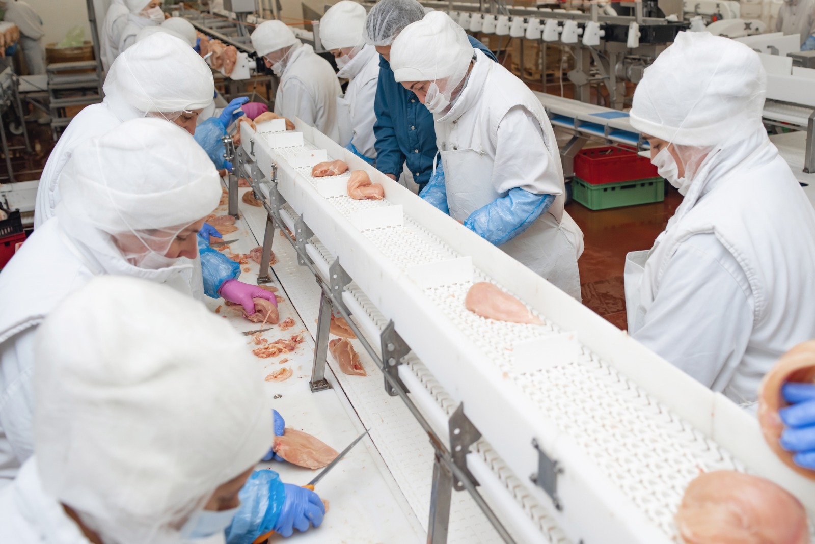 Esta foto é de pessoas trabalhando num frigorífico de frangos.