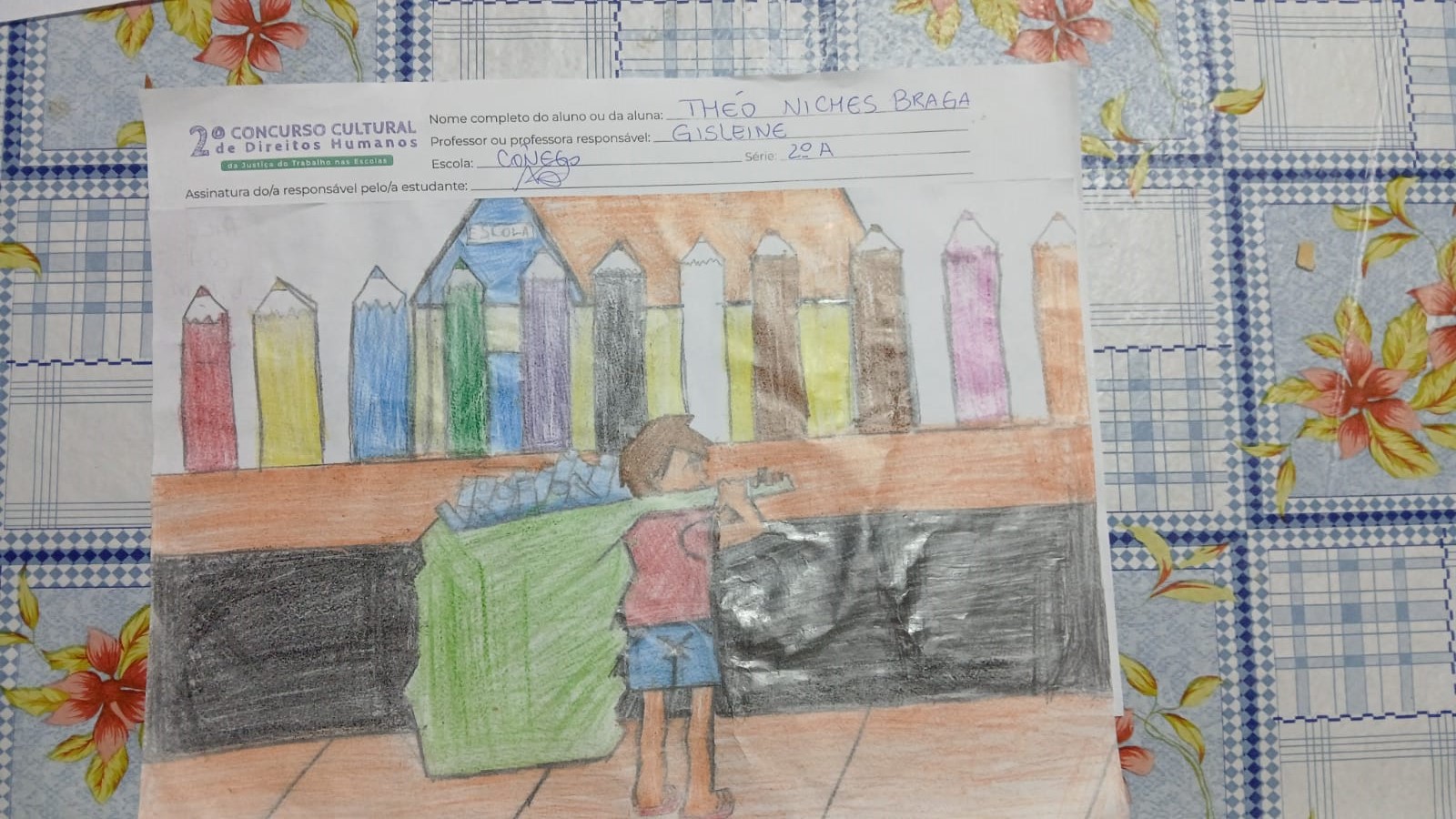 Theo Niches Braga Theo Niches Braga 2 ano Ensino Fundamental